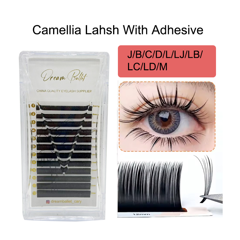 dream ballet Camellia Lashes w – обзор и цена Eyelash Extension Volume Lashes