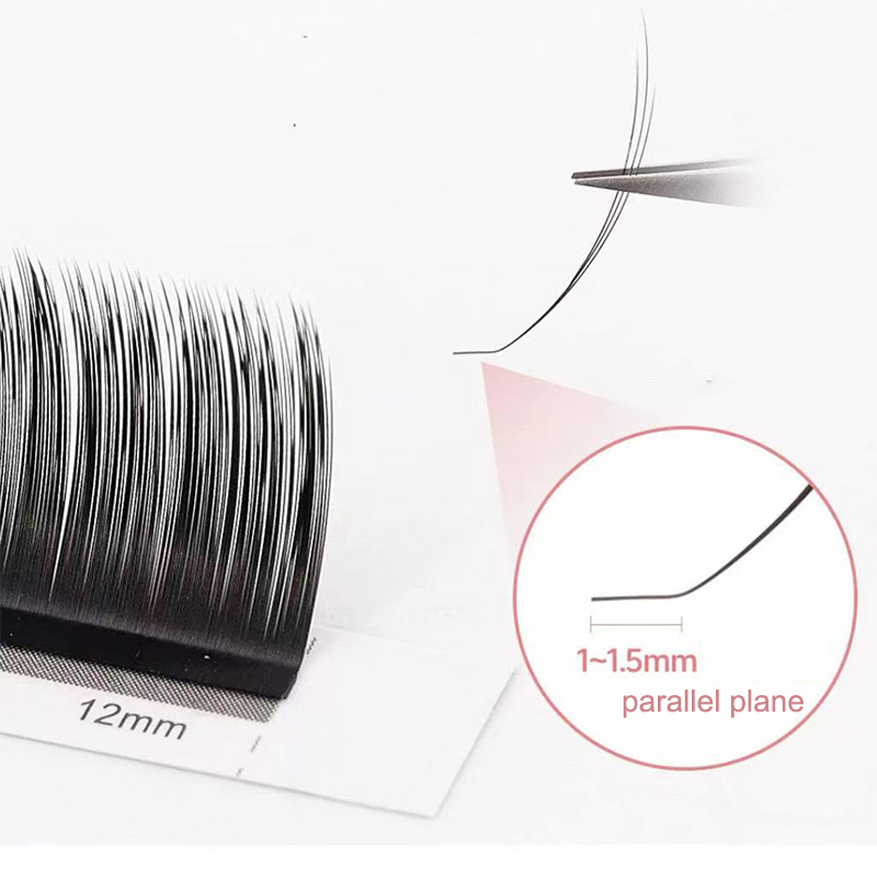 dream ballet Camellia Lashes w – обзор и цена Eyelash Extension Volume Lashes