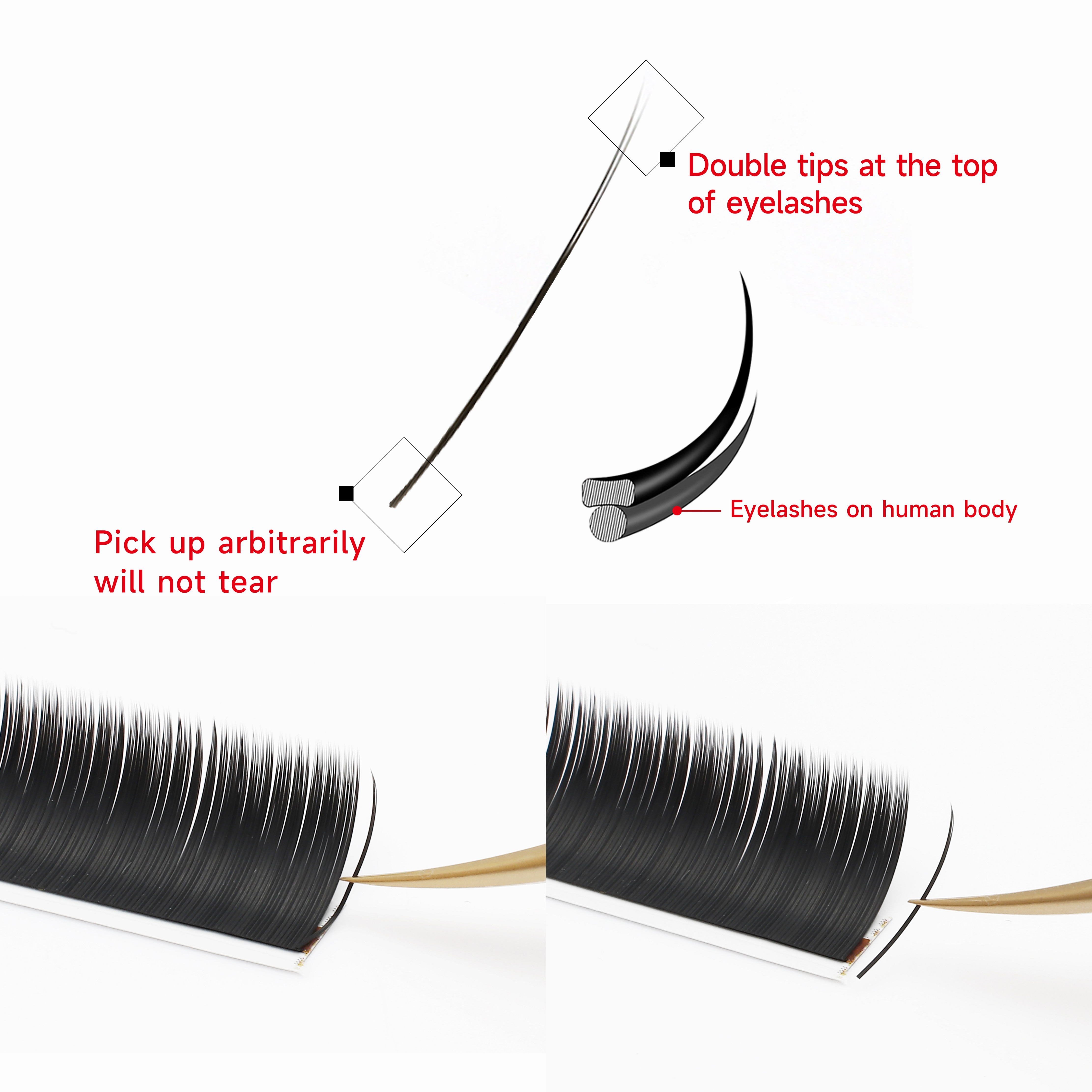 XIUSUZAKI Flat Ellipse Eyelash – обзор и цена Eyelash Extension Supernatural
