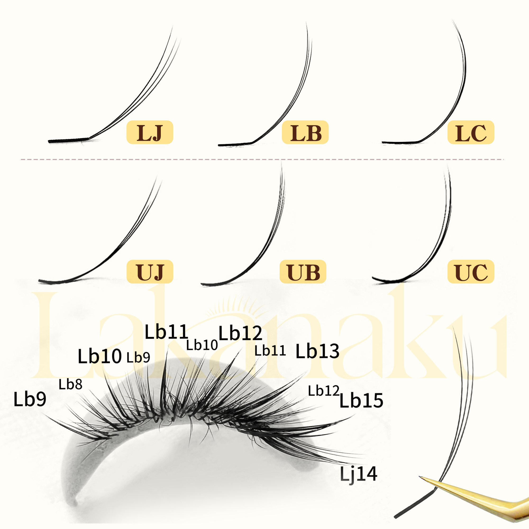Abonnie UJ UB UC Camellia Lash – обзор и цена Eyelash Extension For Men